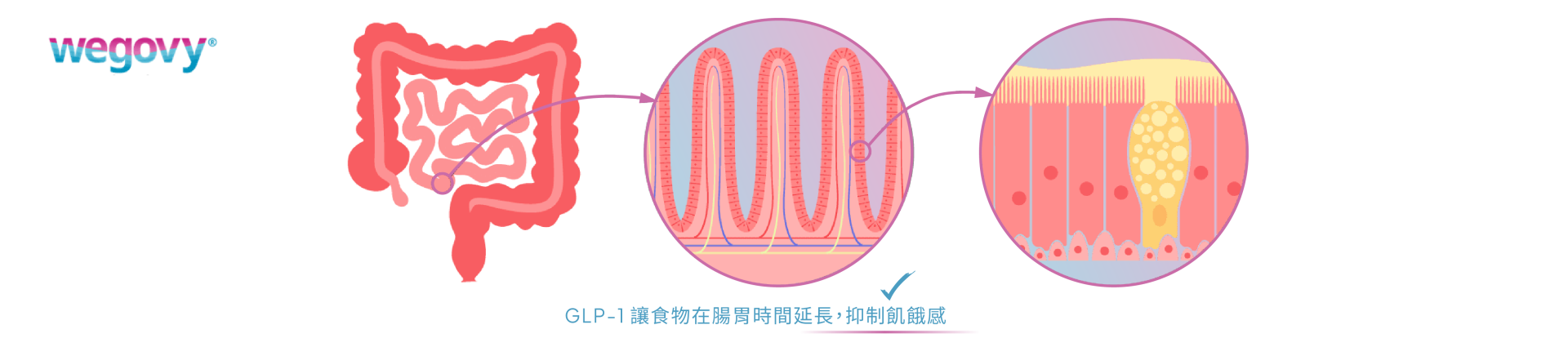 HIFEM 作用深度示意